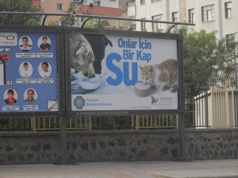 Diyarbakır Caddelerinde Bir Kap Su Afişlerimiz